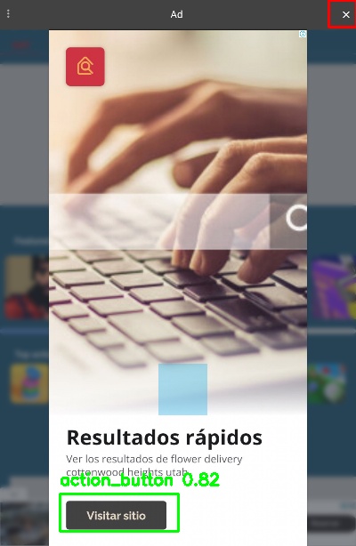 Detected image