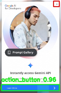 Detected image