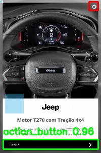 Detected image