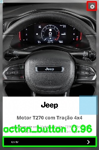 Detected image