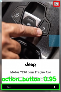 Detected image