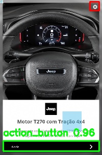 Detected image