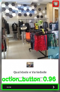 Detected image
