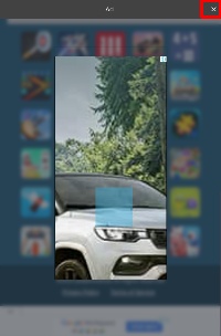 Detected image