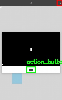 Detected image