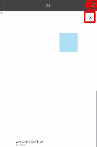 Detected image