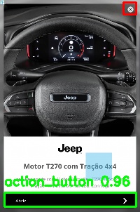 Detected image