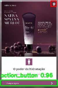 Detected image