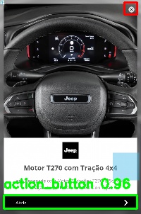 Detected image