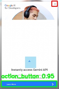 Detected image