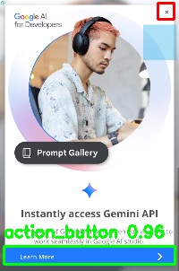 Detected image