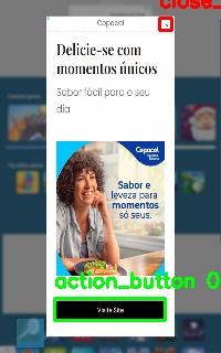 Detected image