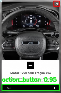 Detected image