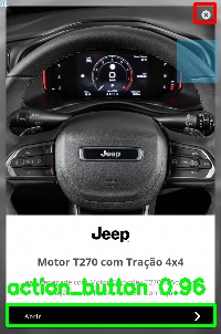 Detected image