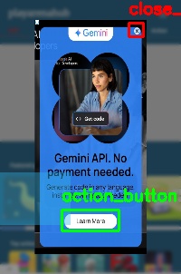 Detected image