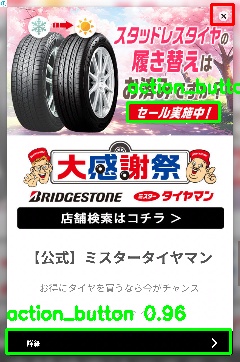 Detected image