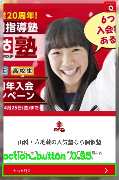 Detected image