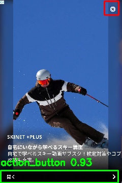 Detected image