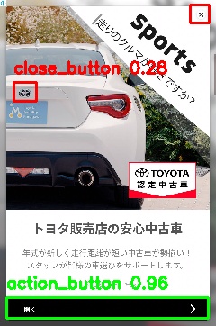 Detected image
