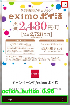 Detected image