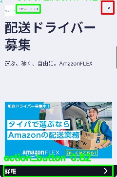 Detected image