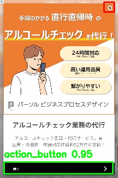 Detected image