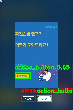 Detected image