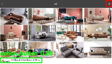 Detected image