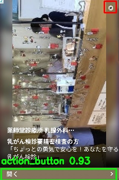 Detected image