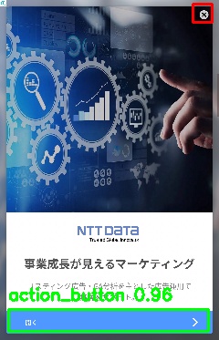 Detected image