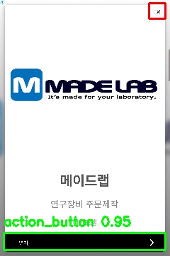 Detected image