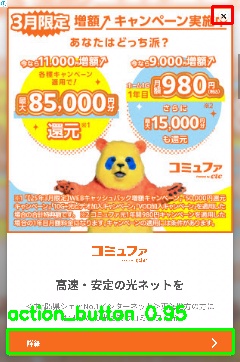 Detected image