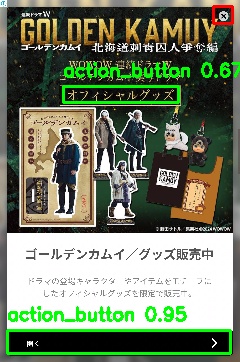 Detected image