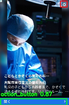 Detected image