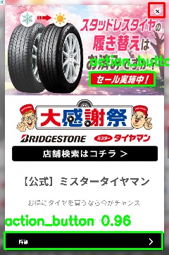Detected image
