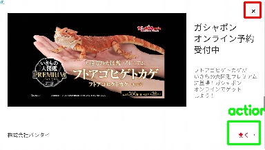 Detected image