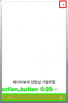 Detected image