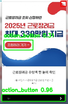 Detected image