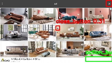 Detected image