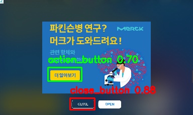 Detected image