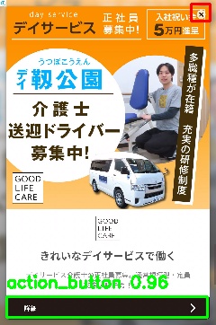 Detected image