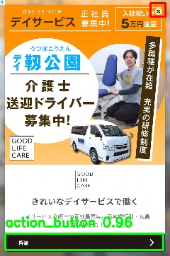 Detected image