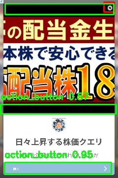Detected image