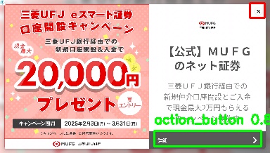 Detected image