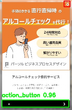 Detected image