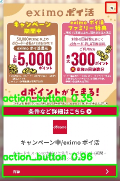 Detected image
