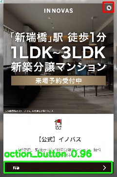 Detected image