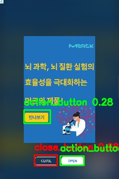 Detected image