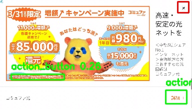 Detected image