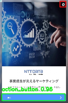 Detected image